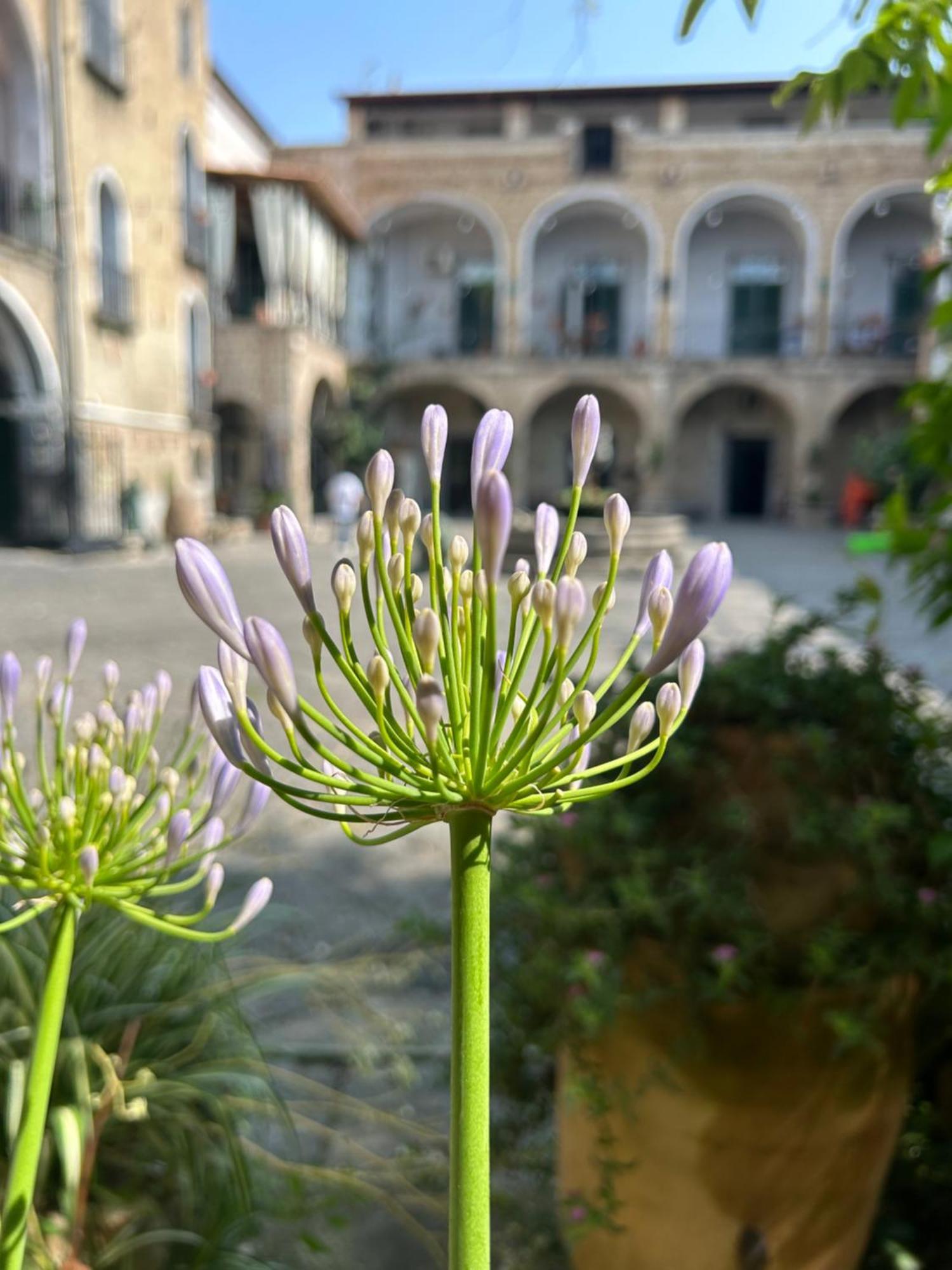 Caivano Palazzo Capece 아파트 외부 사진